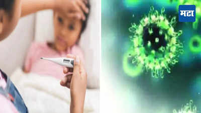 Virus in Gujarat : गुजरातमध्ये नव्या व्हायरसची एंट्री; २ दिवसांत ४ मुलांचा मृत्यू; लक्षणं काय? किती धोकादायक?