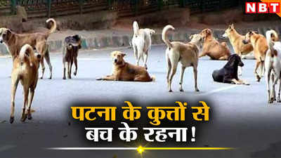 पटना में कुत्तों का आतंक... 180 लोग हर दिन हो रहे शिकार, 12 महीने का आंकड़ा हैरान कर देगा