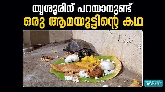 a rare friendship story of a hotel owner with a turtle at thrissur