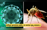 Chandipura Virus symptoms: चांदीपुरा व्हायरसचा हाहाकार, 15 जणांचा मृत्यू तर आढळले 27 रूग्ण, लक्षणे व उपाय काय?