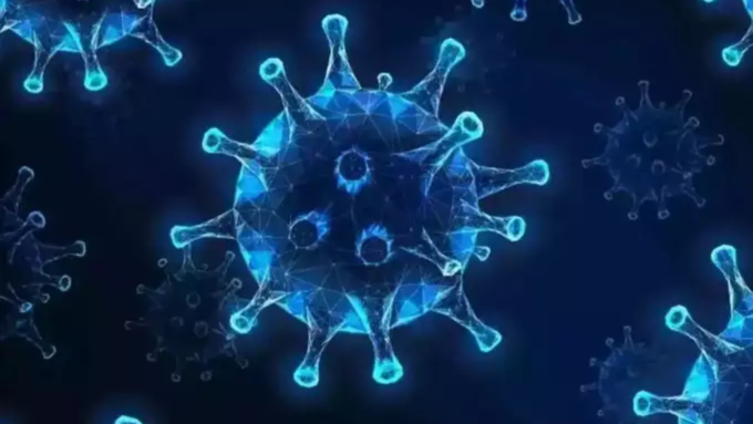 चांदीपुरा व्हायरस म्हणजे नेमका आहे तरी काय?