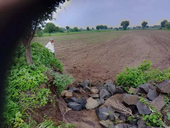 Nandurbar News: कळंबू परिसरातील शेतकऱ्यांवर दुबार पेरणीचे संकट,सततच्या पावसामुळे पिकांचे मोठ्या प्रमाणात नुकसान