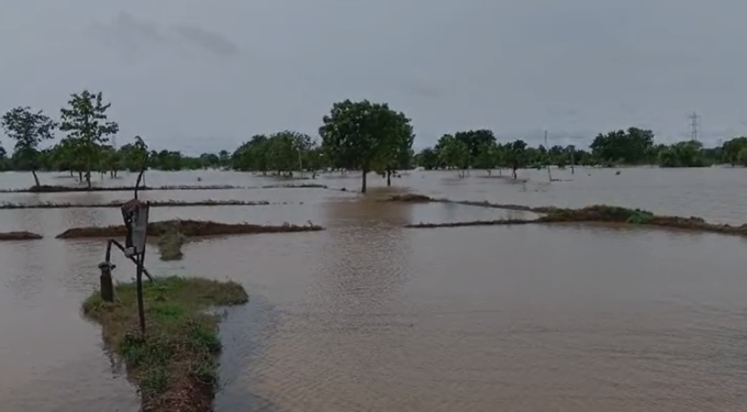 Bhandara Rain: भंडारा जिल्ह्यातील लाखांदूर तालुक्यात मासळ परिसरामध्ये रात्रभर झालेल्या पावसामुळे परिसर जलमय   