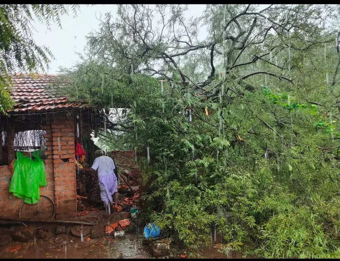 Chandrapur News:  चंद्रपूरात सलग दोन दिवस मुसळधार, घरांची पडझड, शेकडो हेक्टर शेतीचे नुकसान   