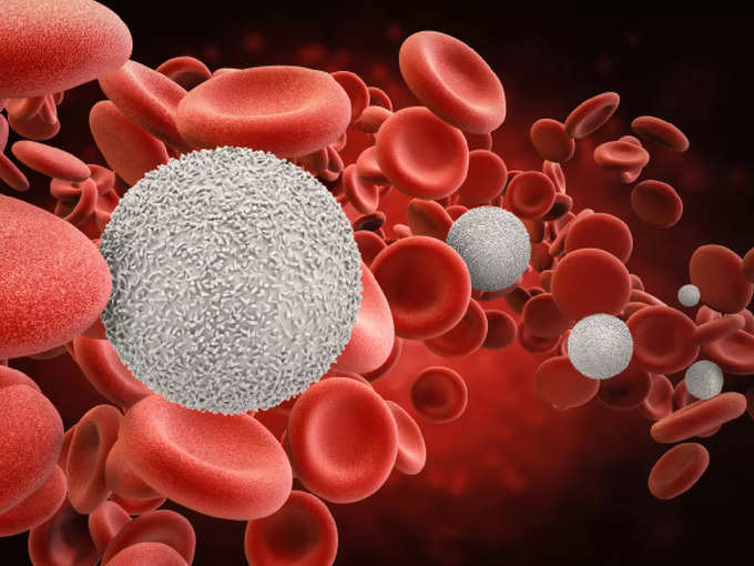 white and red blood cells