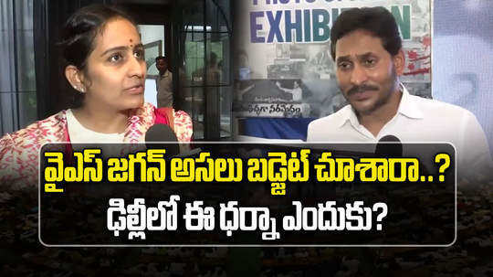 tdp mp byreddy shabari comments on ysrcp protest in delhi