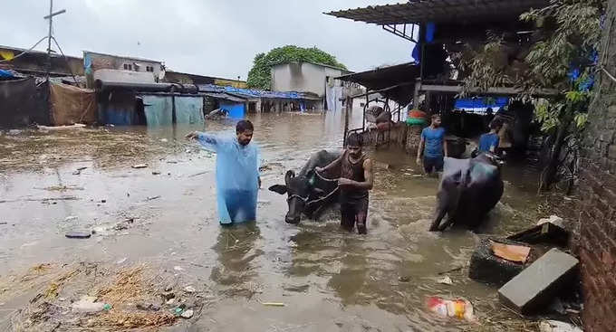 Kalyan Rain Update : रेतीबंदर परिसर जलमय, घरांमध्ये शिरलं पाणी