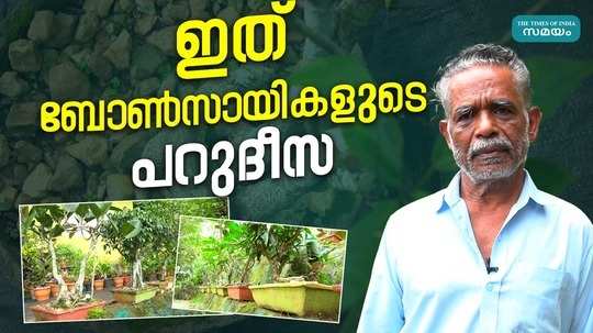 rajan from wayanad with a collection of bonsai plants