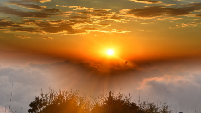 ​ಸೂರ್ಯದೇವನಿಗೆ ಈ ಹೂವನ್ನು ಅರ್ಪಿಸಬೇಡಿ​