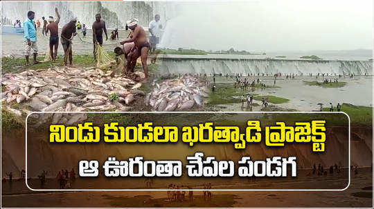 boath villagers catching fishes as kharatwadi mini project overflowing due to heavy rains