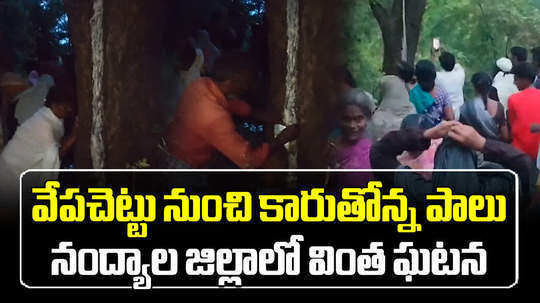 milk come from neem tree in nandyal district