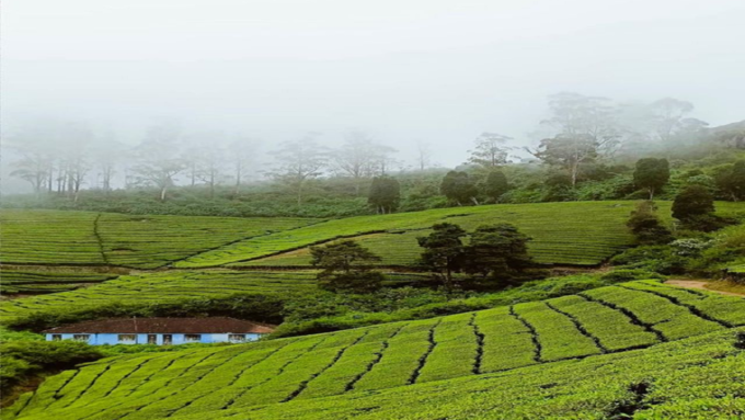 மேகமலை