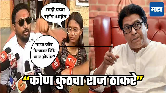 Amol Mitkari Raj Thackeray Maharashtra Times