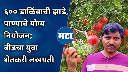 young farmer vijay dhanave pomegranate farming success story