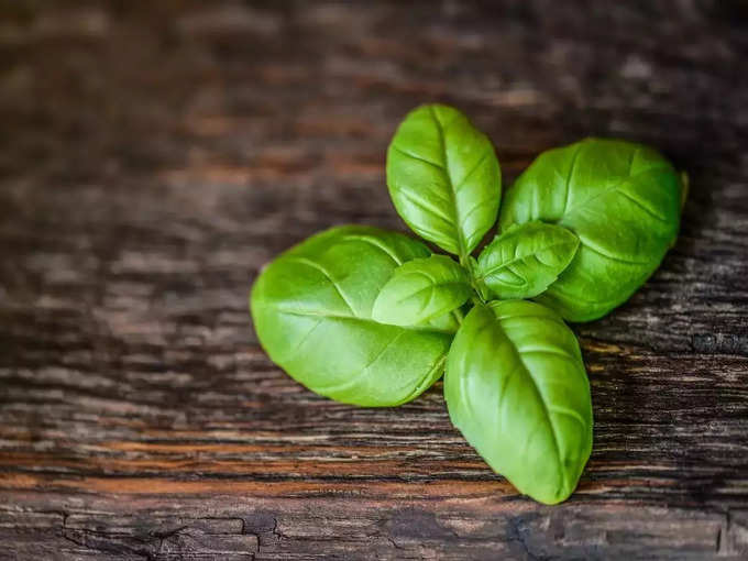 तुलसी की पत्तियां 