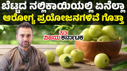 amazing benefits of amla