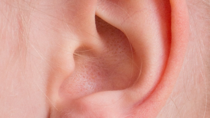 Ear