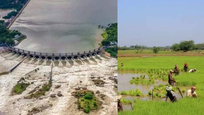 Mettur Dam Reached 100 Feet (1)