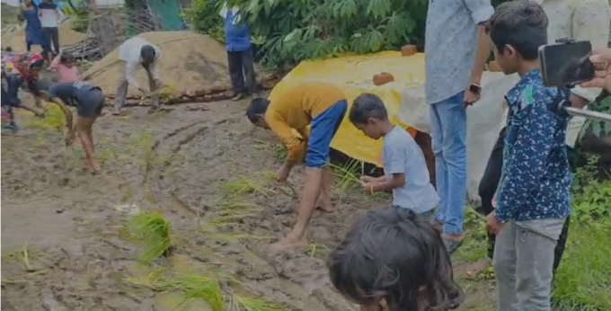 Chandrapur news:  आंगणवाडीतील चिमुकल्या विद्यार्थानीने केली रस्त्यावर धान रोवणी, प्रशासनाचं वेधलं लक्ष