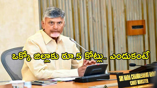 ఏపీలో ఒక్కో జిల్లాకు రూ.5 కోట్లు.. కలెక్టర్ ఆ ప్రశ్న అడిగిన వెంటనే చంద్రబాబు ప్రకటన