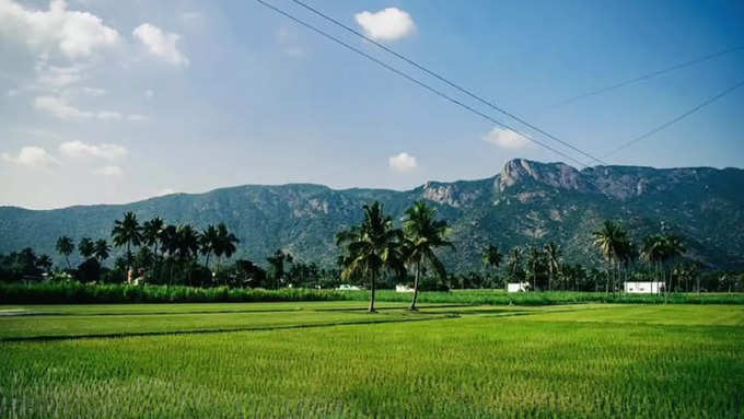 மூச்சடைக்கும் காட்சிகள்