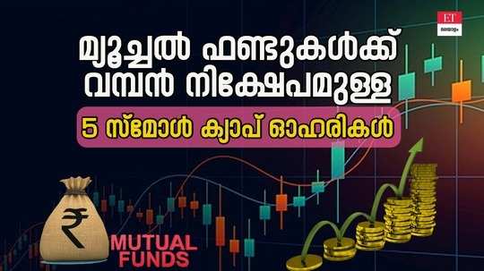 small cap stocks with the most investments for mutual funds