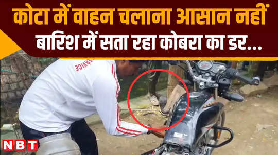 people are scared of cobra snake in kota rain