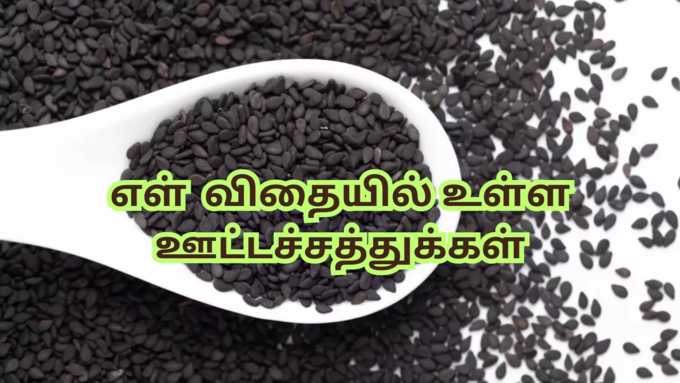 ​எள் விதைகளில் உள்ள ஊட்டச்சத்துக்கள் 