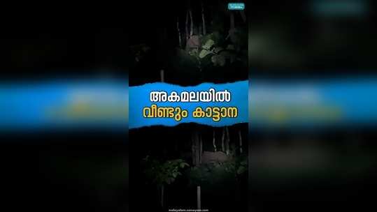 wild elephant attack in akamala thrissur