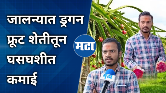 jalna farmers pandurang taarak dragon fruit farming success story