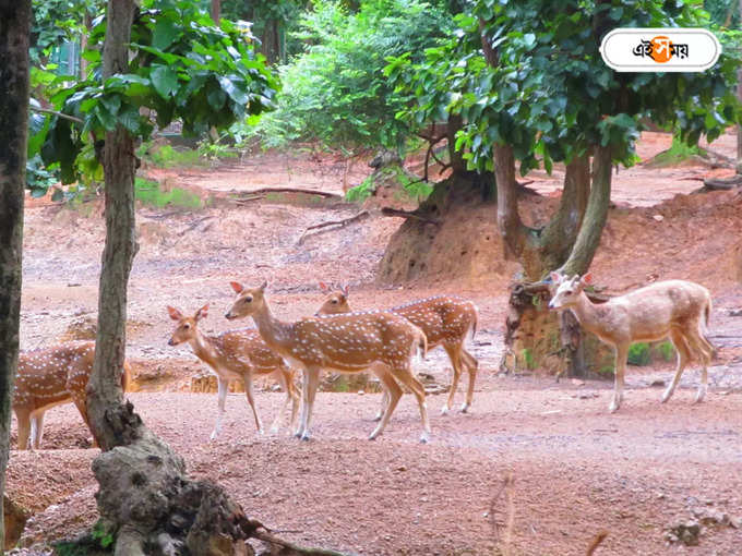 ঝাড়গ্রাম চিড়িয়াখানা