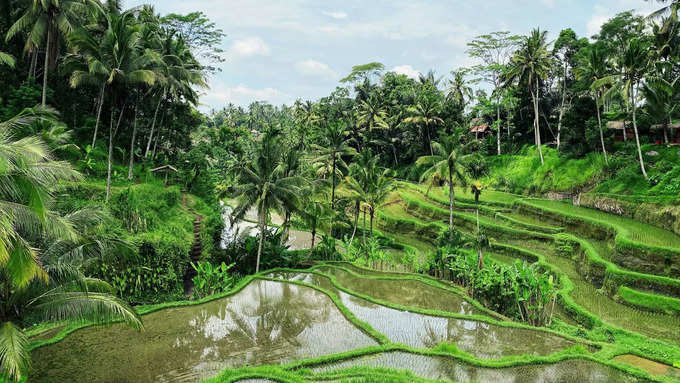 ದಿನ 5: ನುಸಾ ದುವಾ ಮತ್ತು ಉಲುವಾಟು 