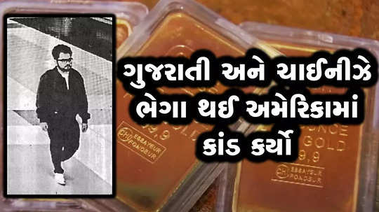 how a gujarati man harmish patel scammed us citizens along with his chinese friend