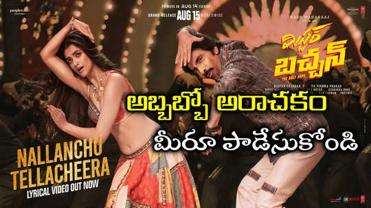 Mr.Bachchan Song: చచచ.. ఇదేదో భలే ఉందే.. మిస్టర్ బచ్చన్ నల్లంచు తెల్లచీర సాంగ్ లిరిక్స్