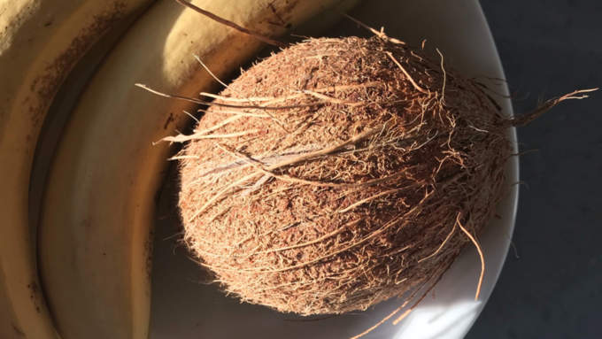 coconut