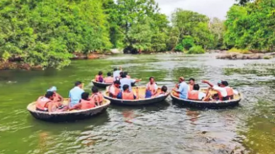 ஒகேனக்கலில் மீண்டும் பரிசல் இயக்க அனுமதி... சுற்றுலா பயணிகள் மகிழ்ச்சி!