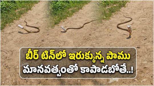 watch snake trapped in beer tin in jagtial district in telangana