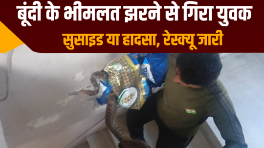 8 feet long python found on the roof of a house in kota rajasthan kota news