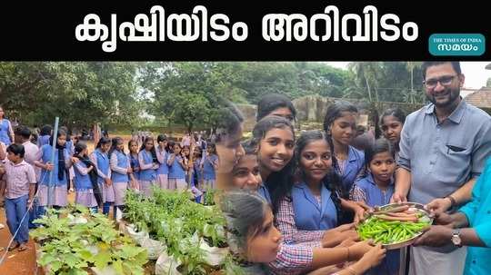 harvesting of vegetables done by the students of vadanamkurussi government high school