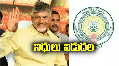 Andhra Pradesh Govt Release Funds 1452 Crores to Local Bodies - ఏపీ  ప్రభుత్వం కీలక నిర్ణయం.. భారీగా నిధులు విడుదల