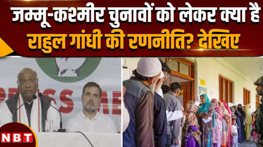 jammu kashmir elections 2024 what is rahul gandhis strategy regarding jammu and kashmir elections