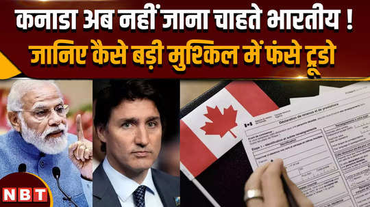 canada news indians do not want to go to canada 70 percent reduction in visa applications from punjab also