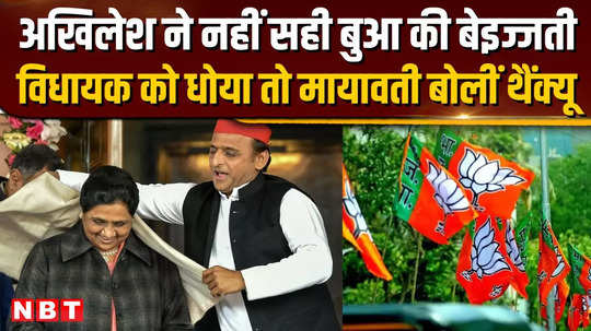 akhilesh yadav defends mayawati over bjp mlas comment