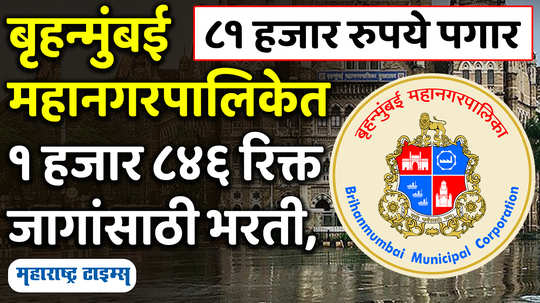 career news bmc executive assistant recruitment 2024 brihanmumbai municipal corporation vacancy for clerk mumbai articleshow watch video