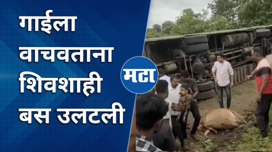 amravatinagpur highway shivshahi bus accident