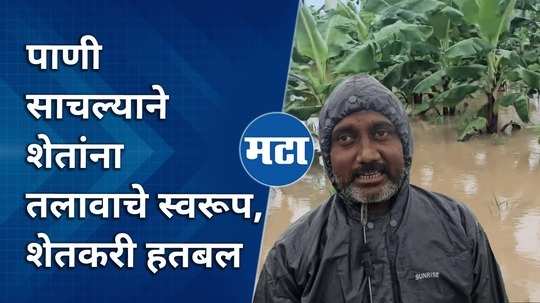 heavy rain for two days banana papaya chilli cotton crops are all under water farmers are worried