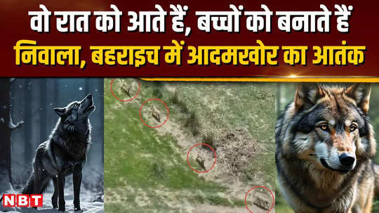 terror of man eating wolf in 50 villages of bahraich 8 killed