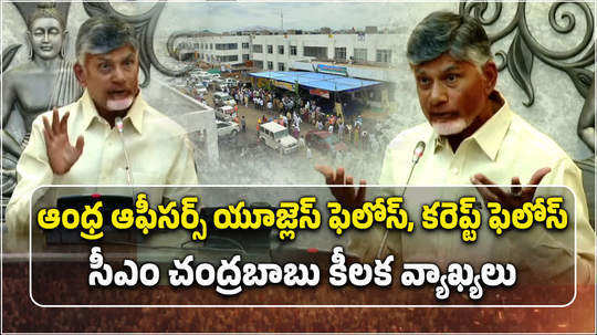 andhra pradesh cm nara chandrababu naidu comments on officers