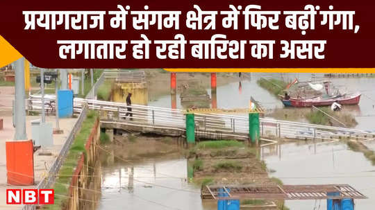 prayagraj sangam bank submerges due to waterlogging after heavy rains up news video