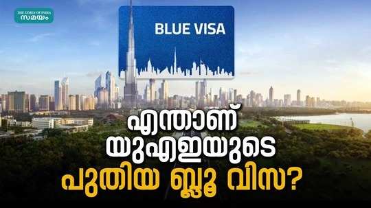 how to get blue visa in uae